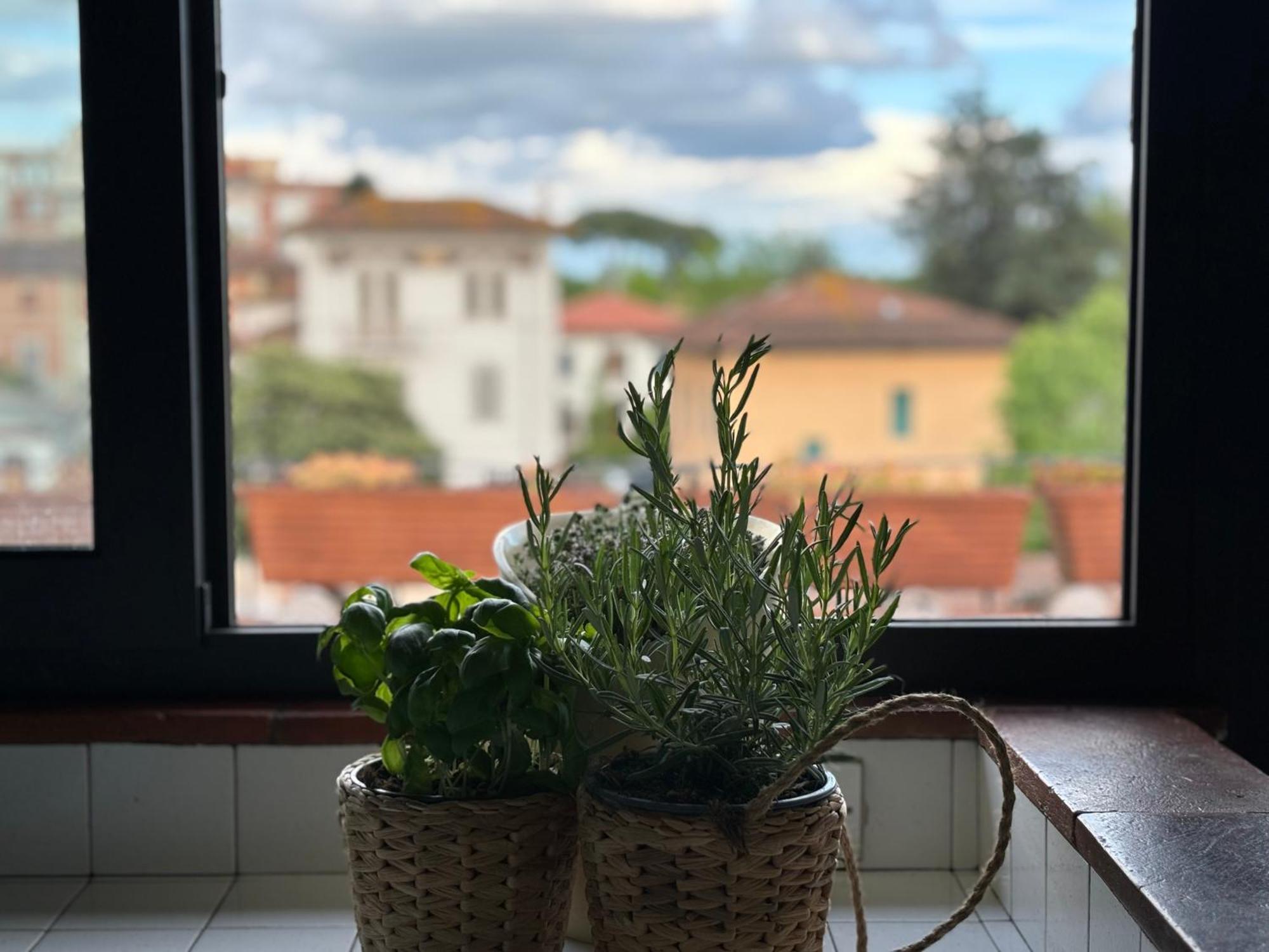 Lovely Apartment Lucca Exterior foto